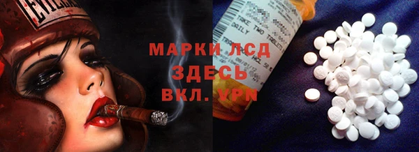 скорость Каменногорск