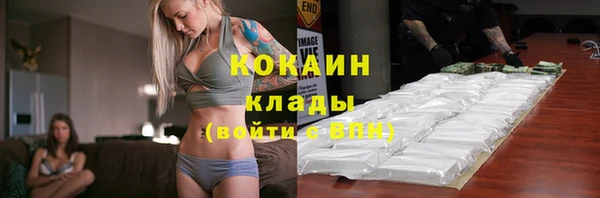 скорость Каменногорск