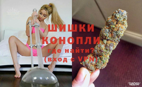 ГАЛЛЮЦИНОГЕННЫЕ ГРИБЫ Карталы