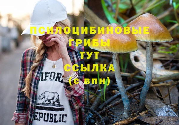 мет Каменка