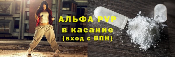 скорость Каменногорск