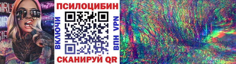 Псилоцибиновые грибы Magic Shrooms Купить закладки Жердевка